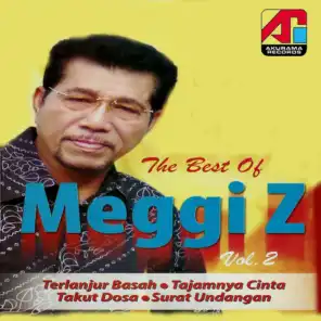 Best Of Meggi Z, Vol. 2