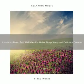 Christmas Mood Best Melodies For Relax, Deep Sleep and Delicious Dreams