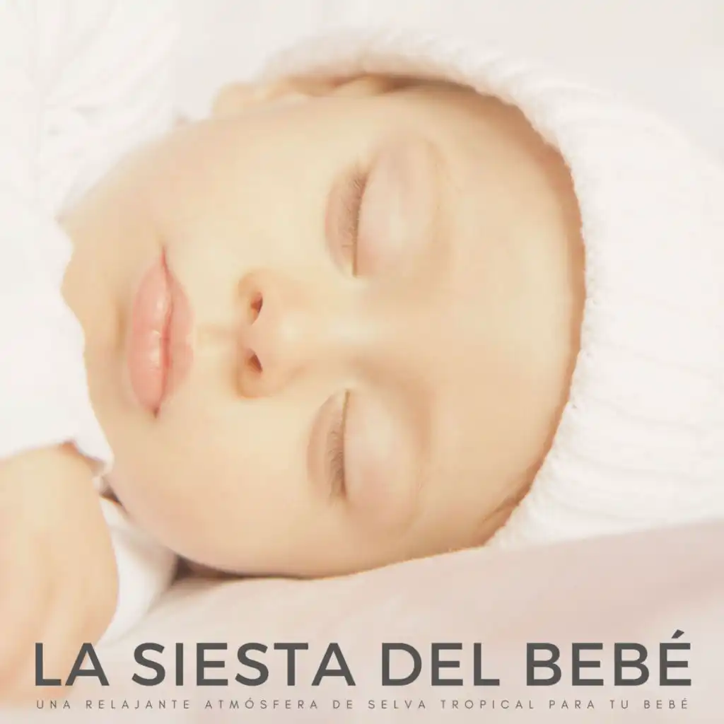 La Siesta Del Bebé: Una Relajante Atmósfera De Selva Tropical Para Tu Bebé