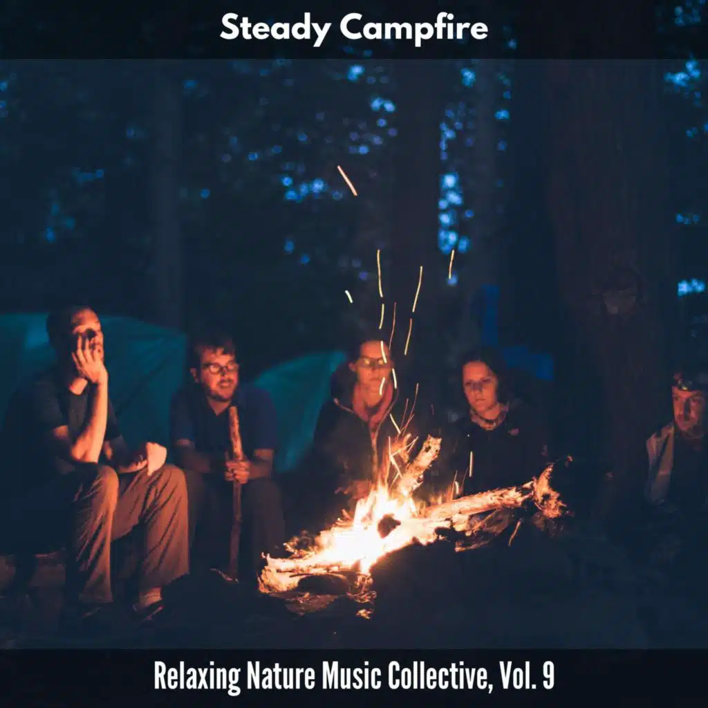 Silent Fire Night Music