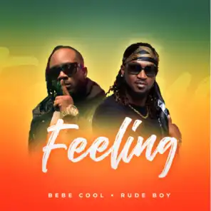 Feeling (feat. Rude Boy)