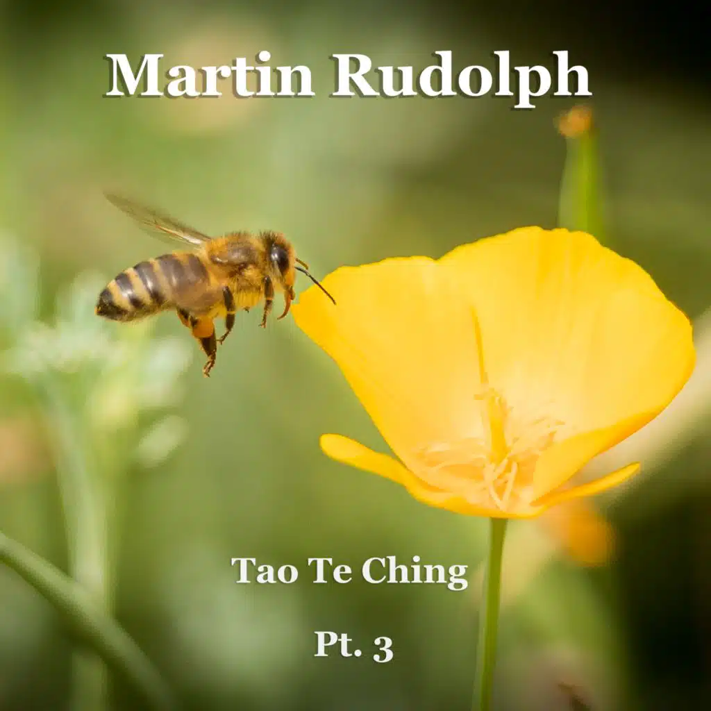 Tao Te Ching, Pt. 3
