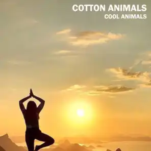 Cotton Animals