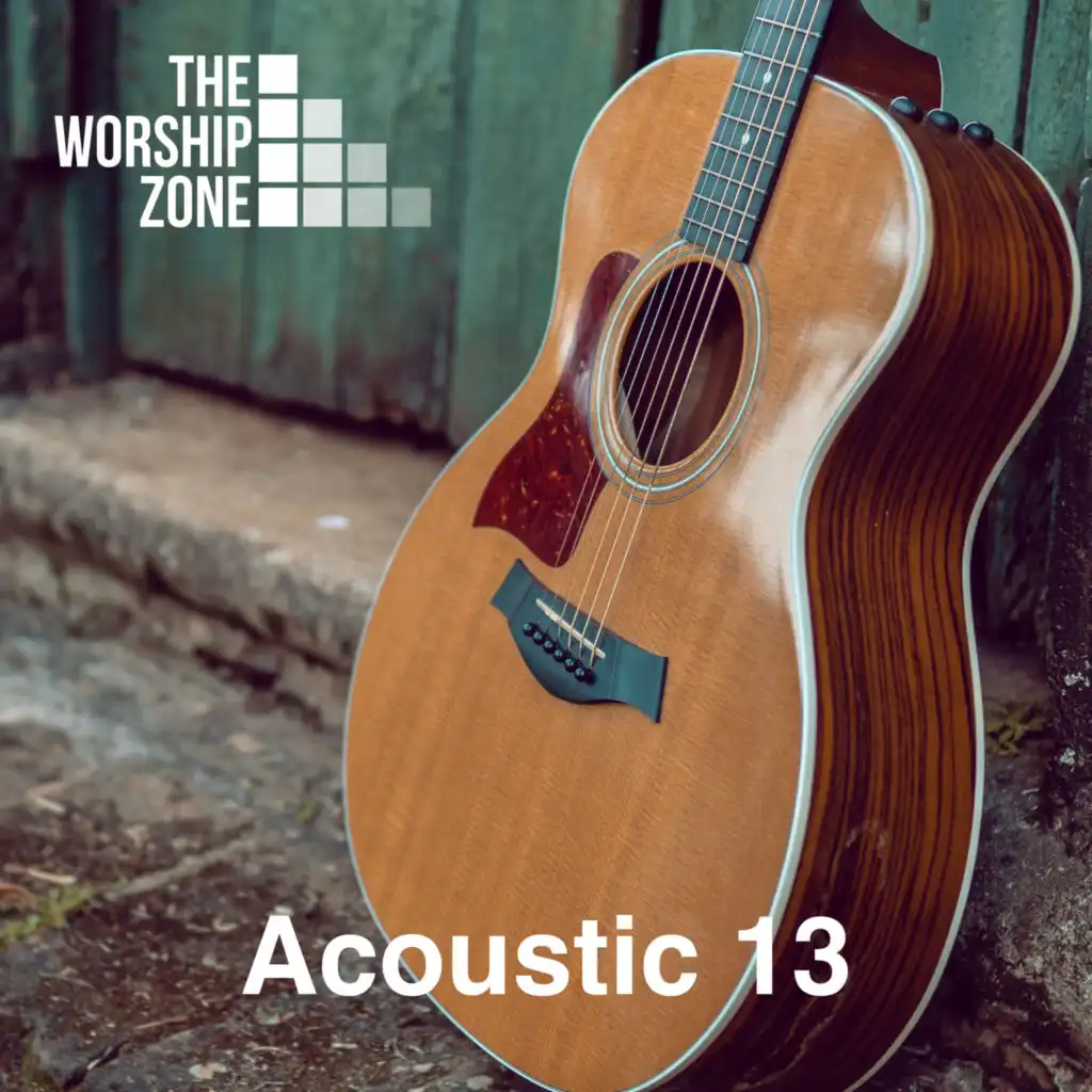 Acoustic 13