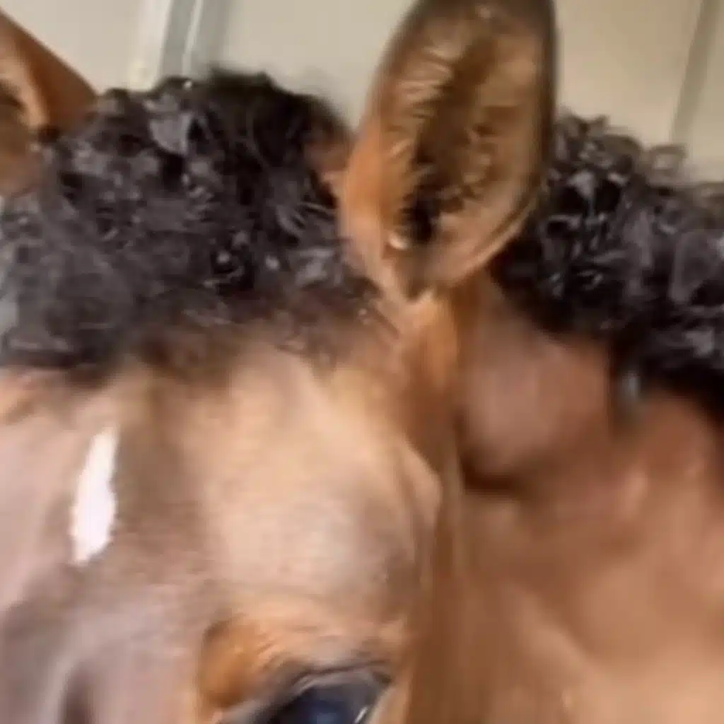 Full on Spanish 🇪🇸 🇵🇪 🇲🇽