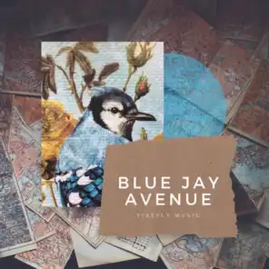 Blue Jay Avenue