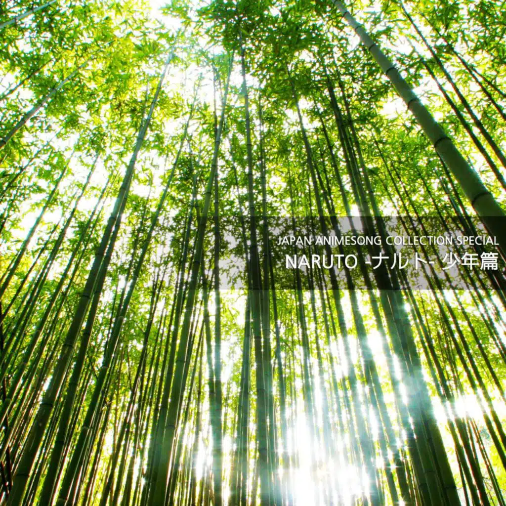 JAPAN ANIMESONG COLLECTION SPECIAL 「NARUTO -ナルト- 少年篇」