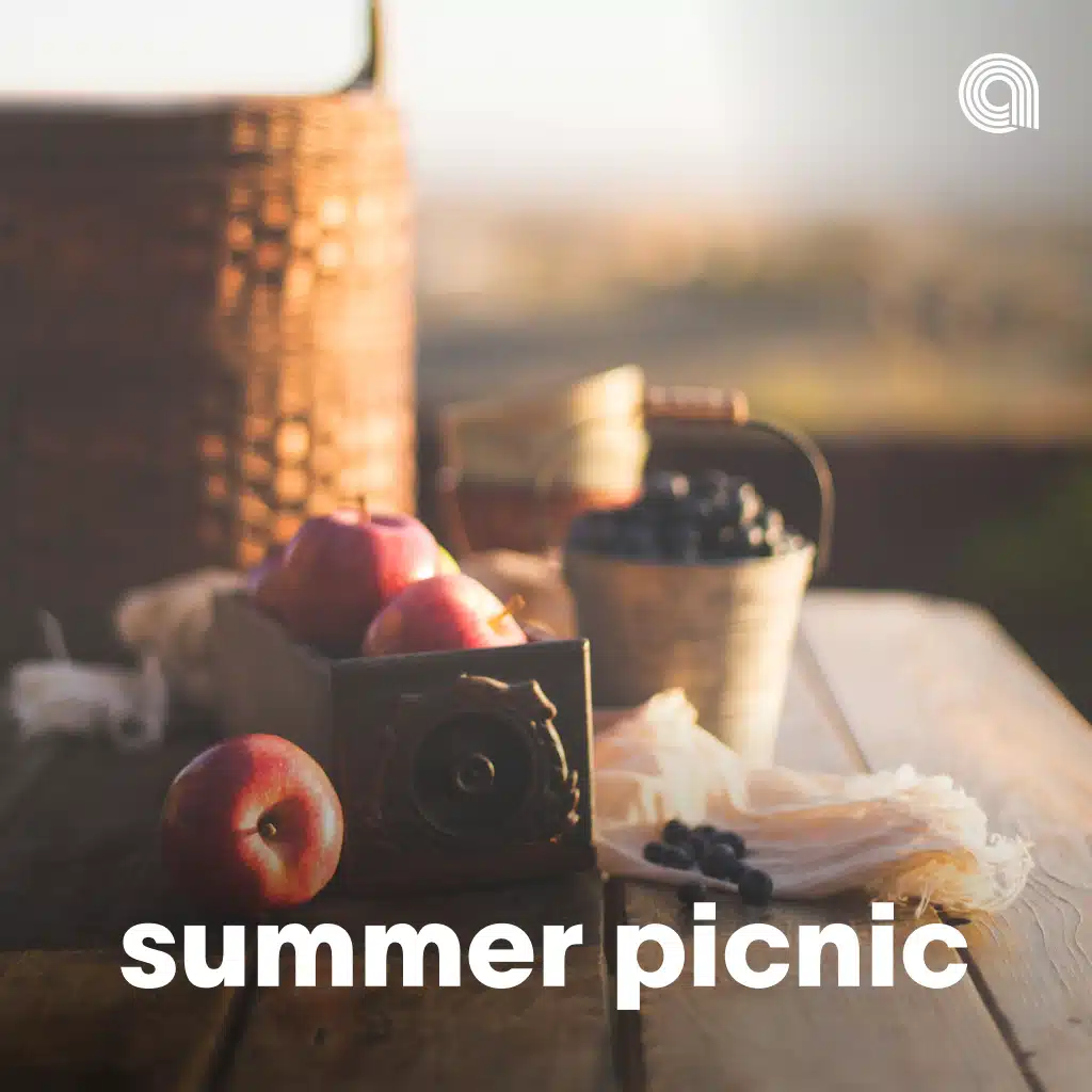 Summer Picnic