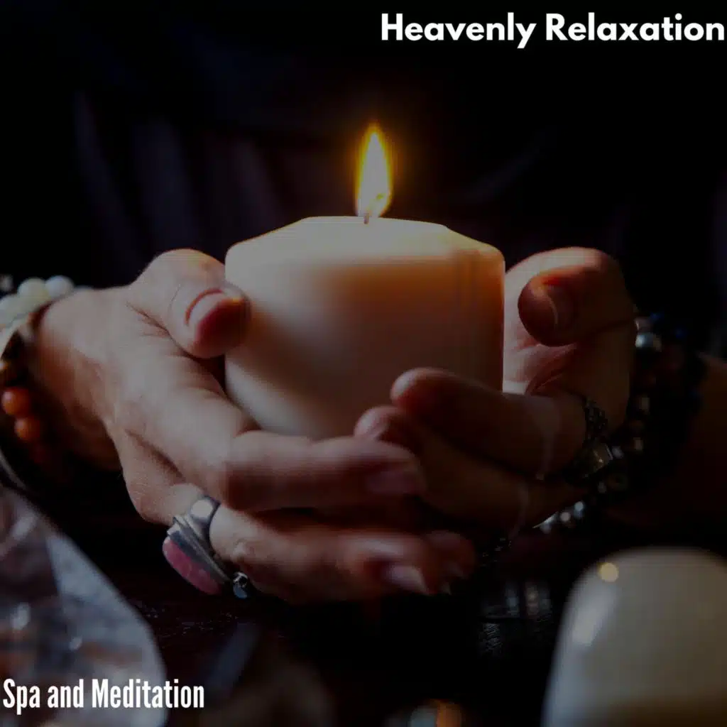 Birds in Yoga Morning