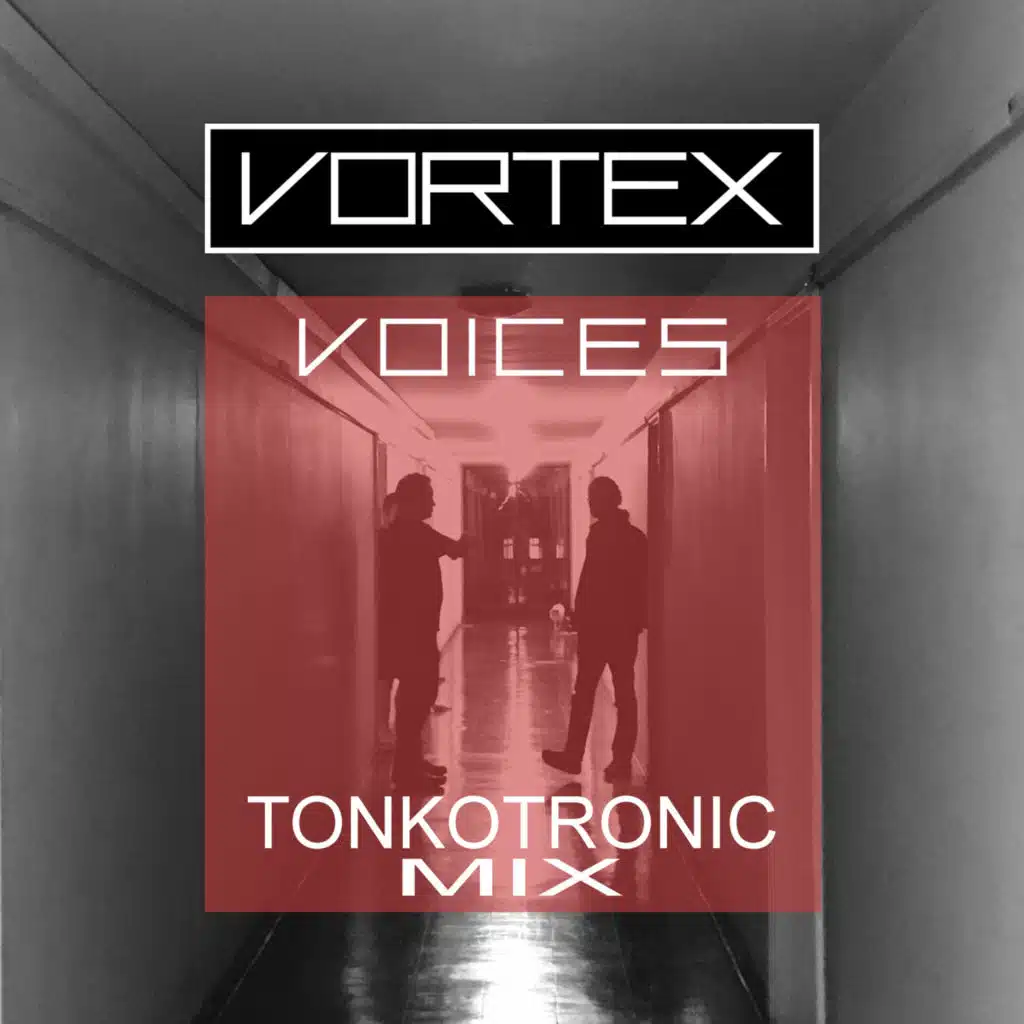 Voices (Tonkotronic mix)