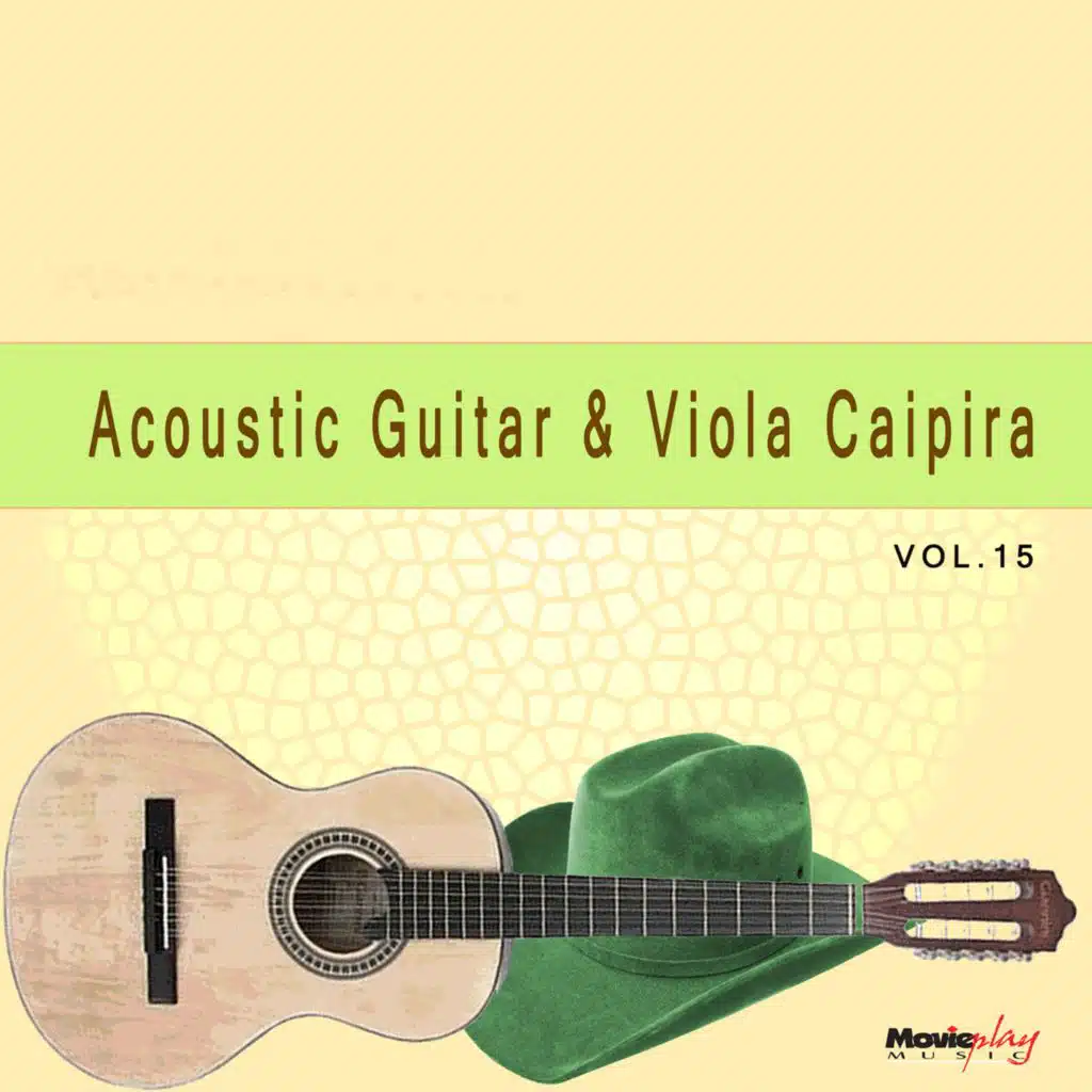 Acoustic Guitar & Viola Caipira, Vol. 15