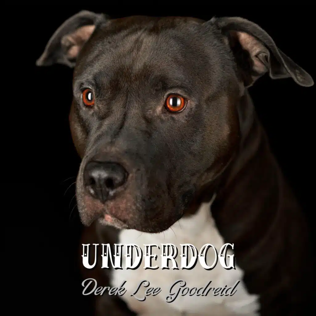 Underdog
