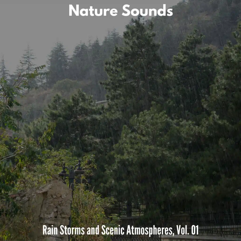 Jack Lewi Nature Collective