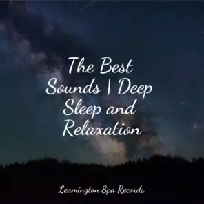 The Best Sounds | Deep Sleep and Relaxation