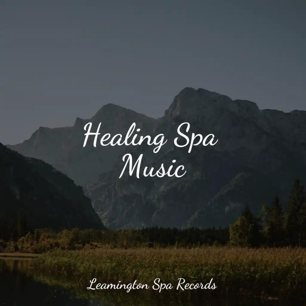 Healing Spa Music