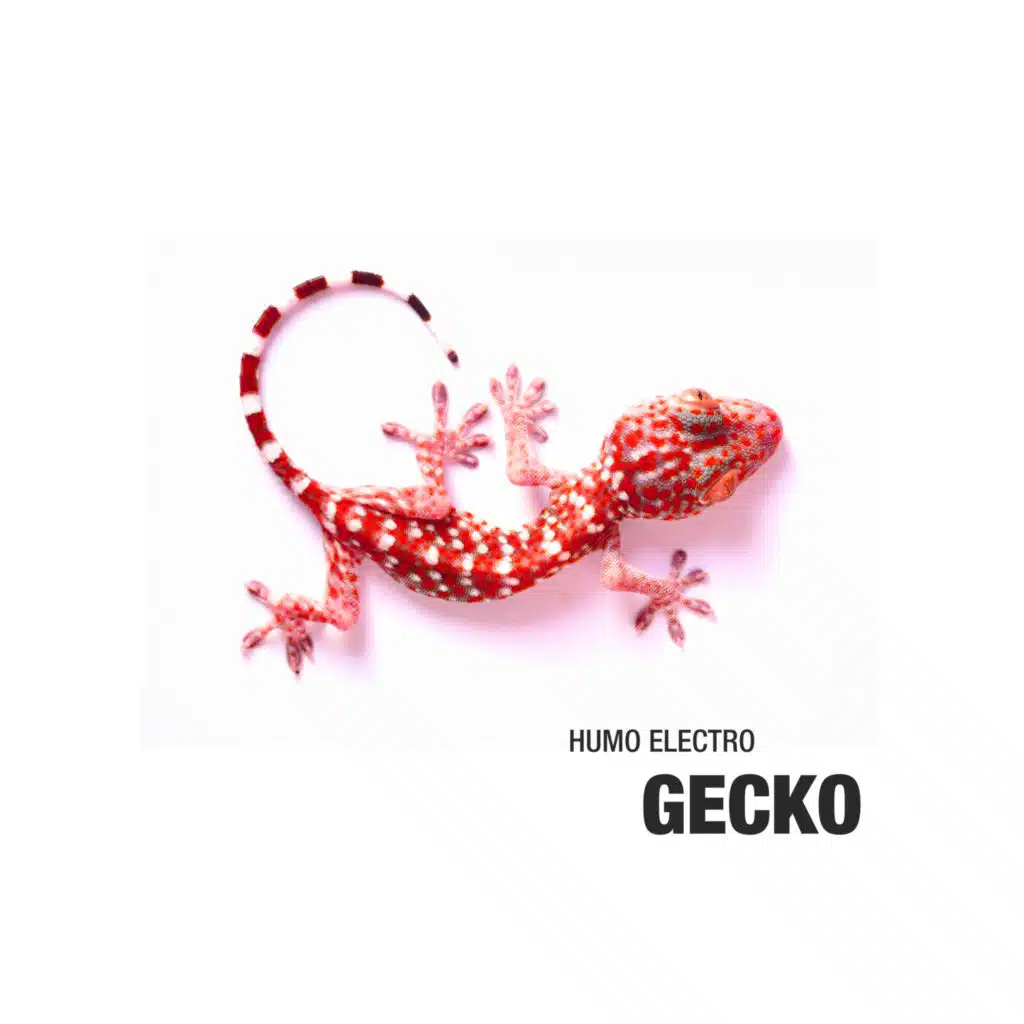 Gecko - Ep