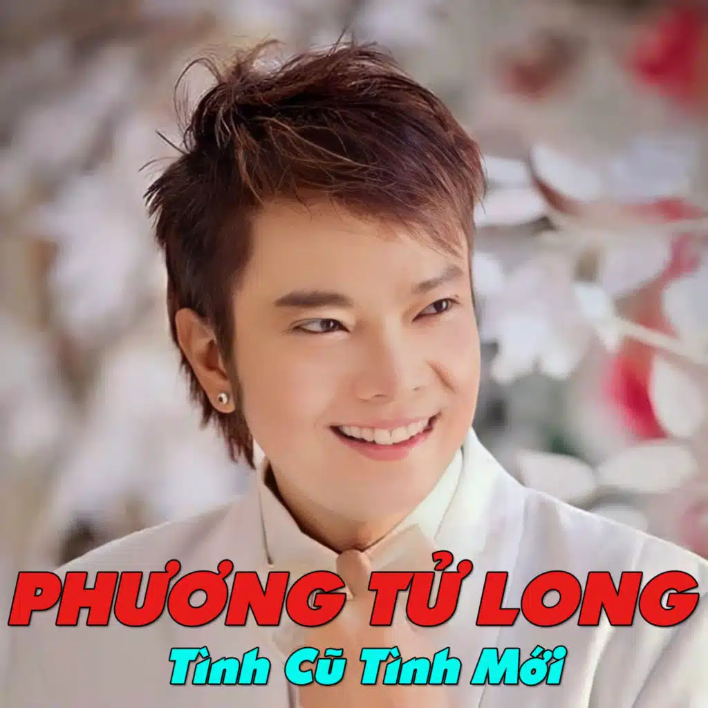 Tình Cũ Tình Mới