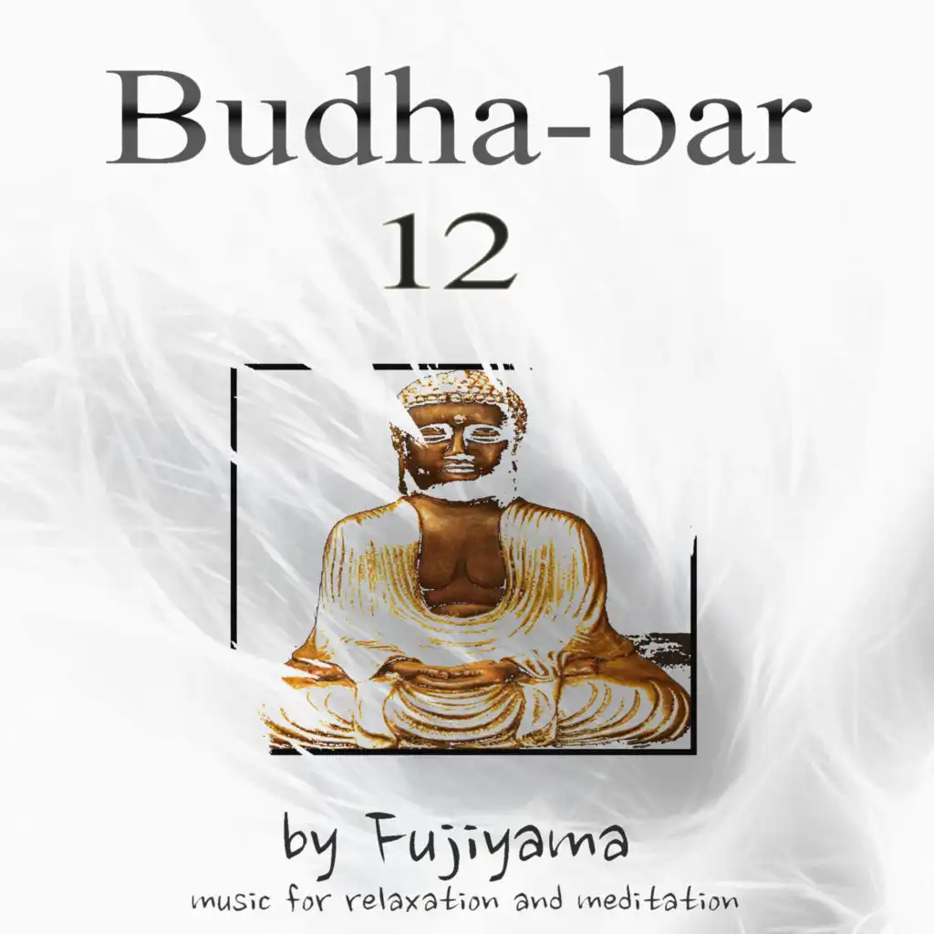 Budha - Bar 12, Music For Relaxation And Meditation