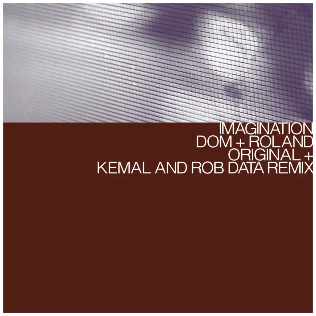 Imagination (Kemal & Rob Data Remix)