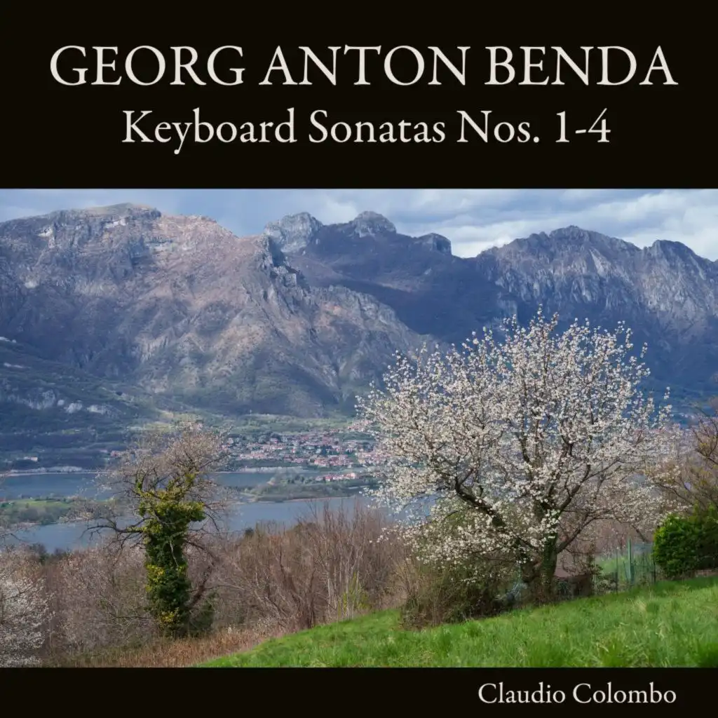 Keyboard Sonata No. 1 in B-Flat Major: II. Larghetto