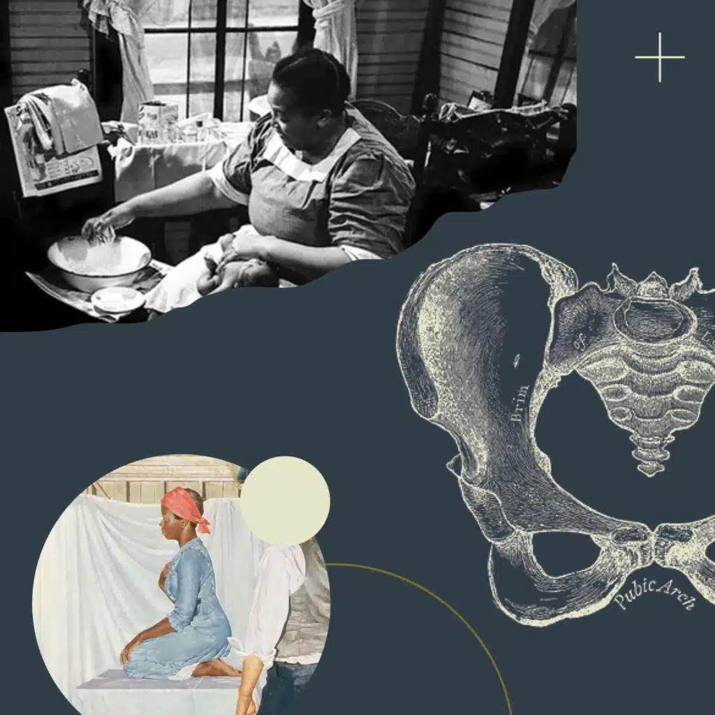 The Mothers of Gynecology