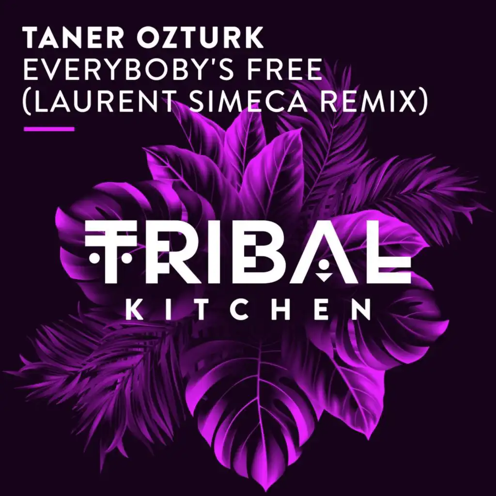 Everybody's Free (Laurent Simeca Extended Remix)