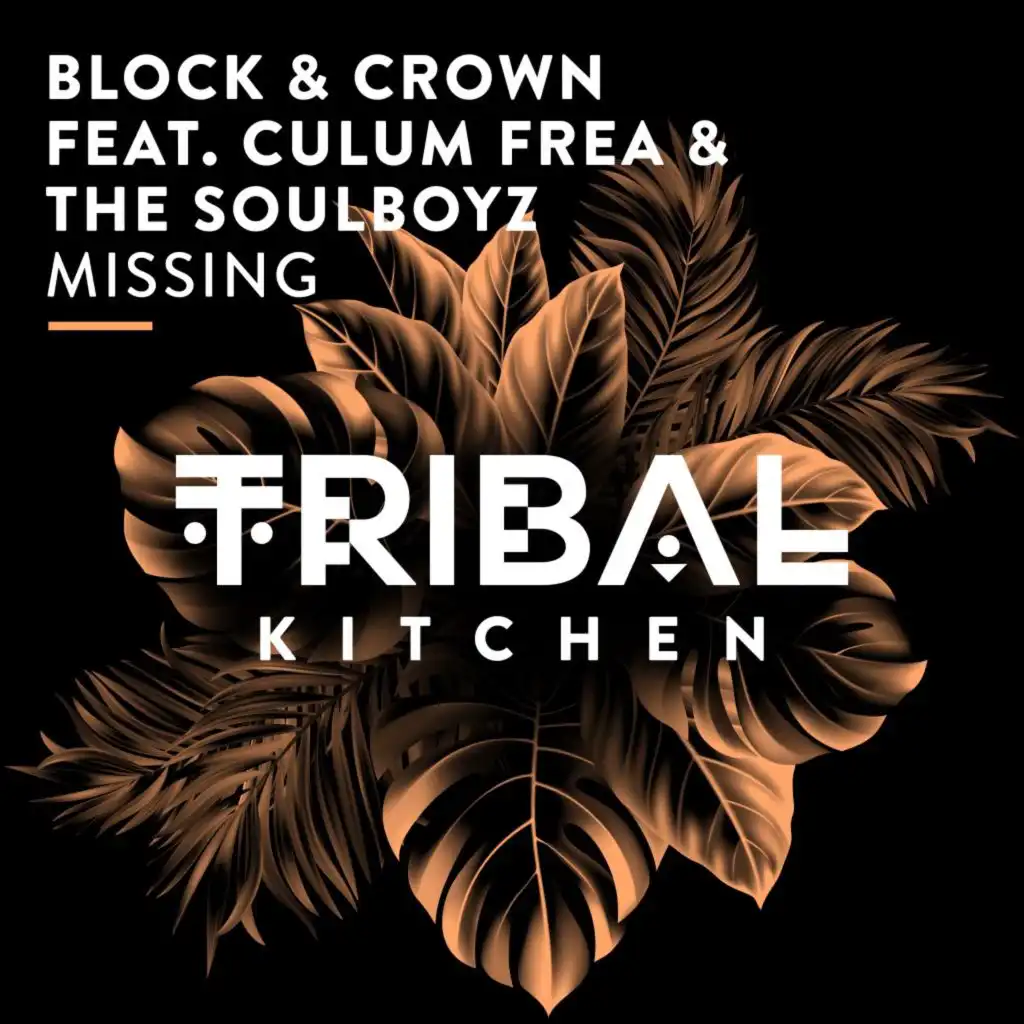 Missing (Extended Mix) [feat. Culum Frea & THE SOULBOYZ]