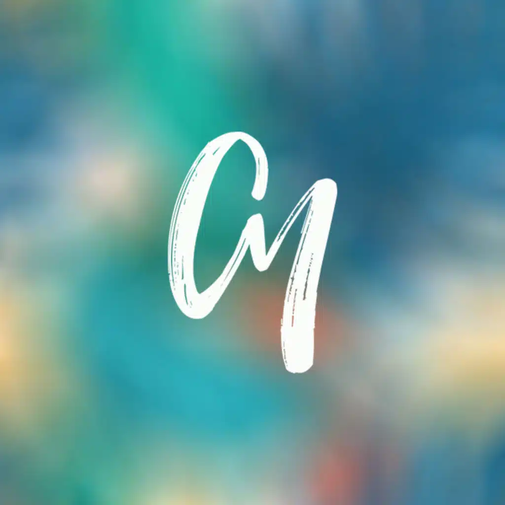 Smells Like Teen Spirit (Wallmers & Lisitsyn Dub Remix)