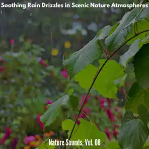 Drizzle Rain Nature Collection