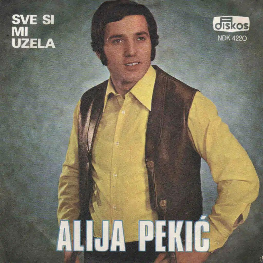 Sve si mi uzela