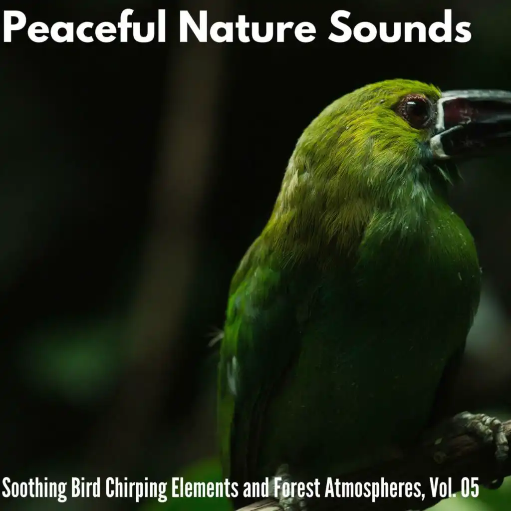 Peaceful Nature Sounds - Soothing Bird Chirping Elements and Forest Atmospheres, Vol. 05