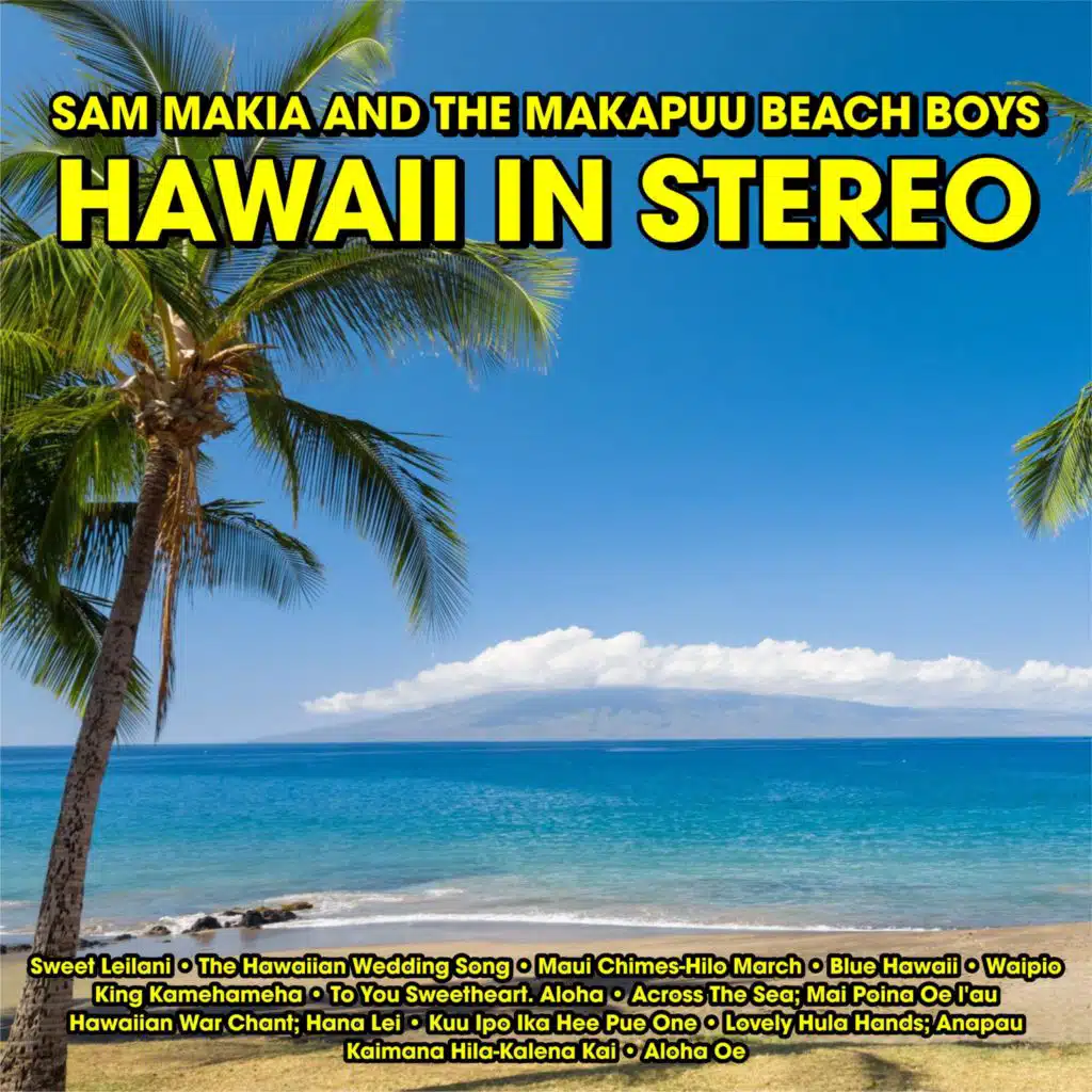 Hawaii In Stereo