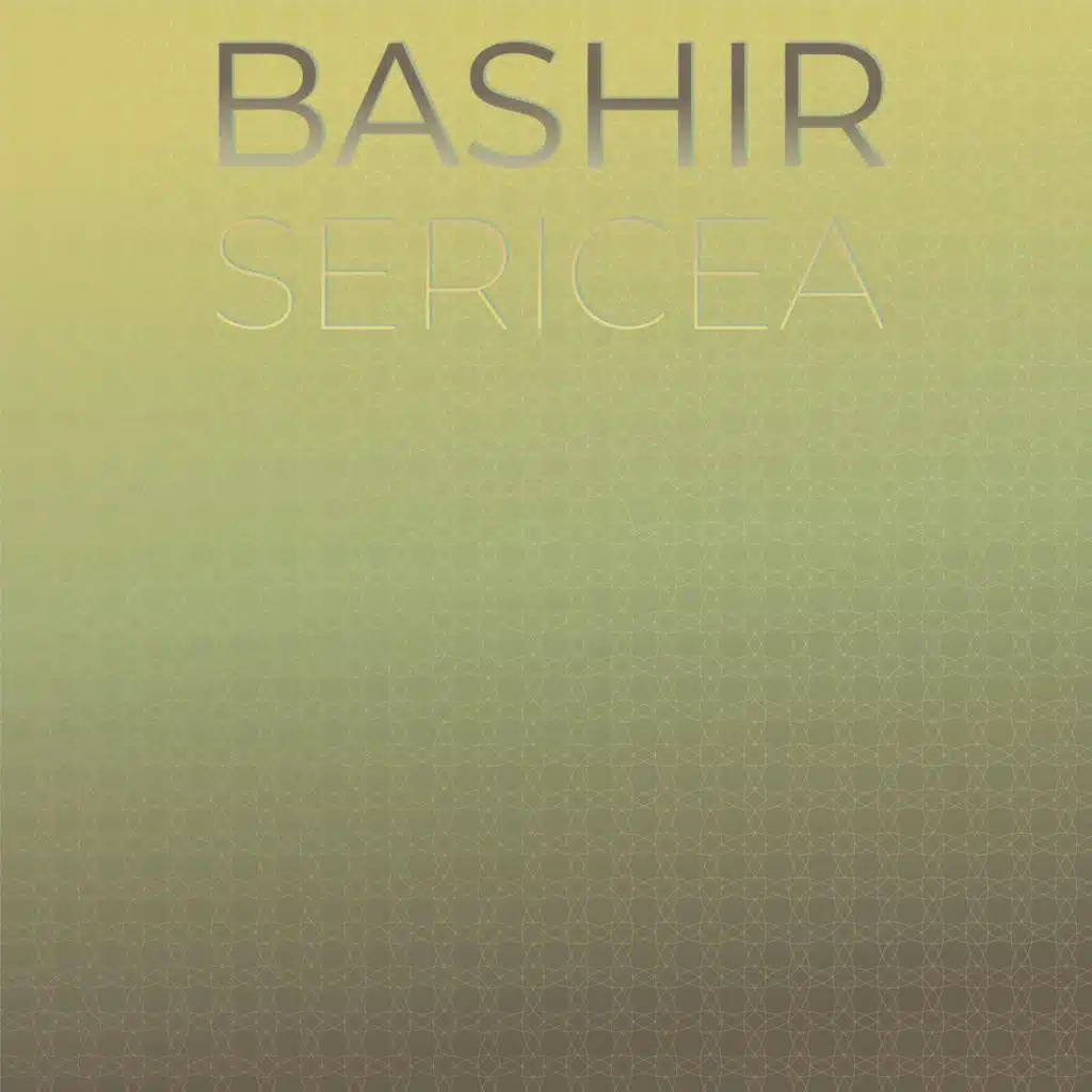 Bashir Sericea