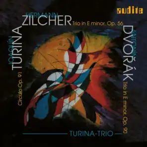 Dvorák, Zilcher & Turina: Piano Trios