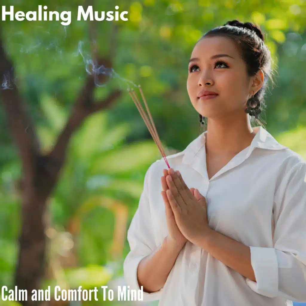 Diving into Meditation