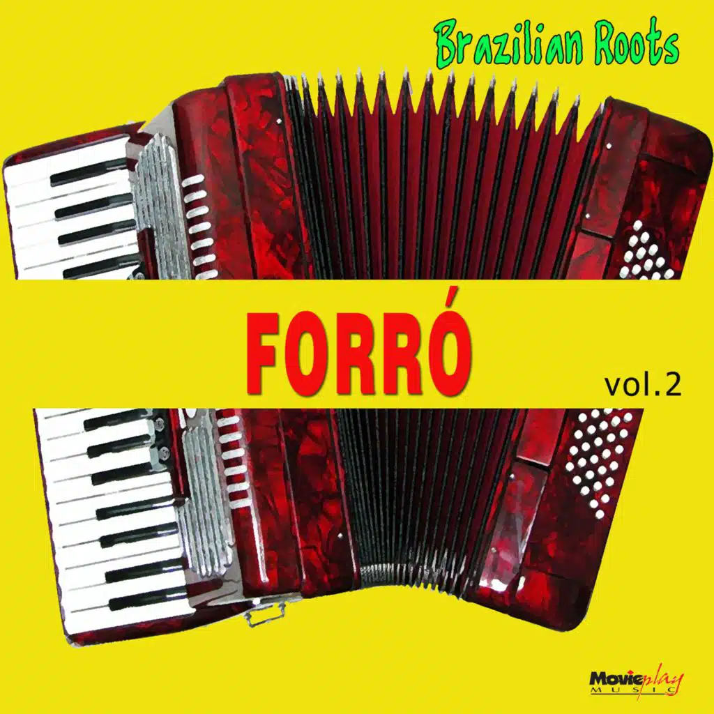 Forró Vol. 2