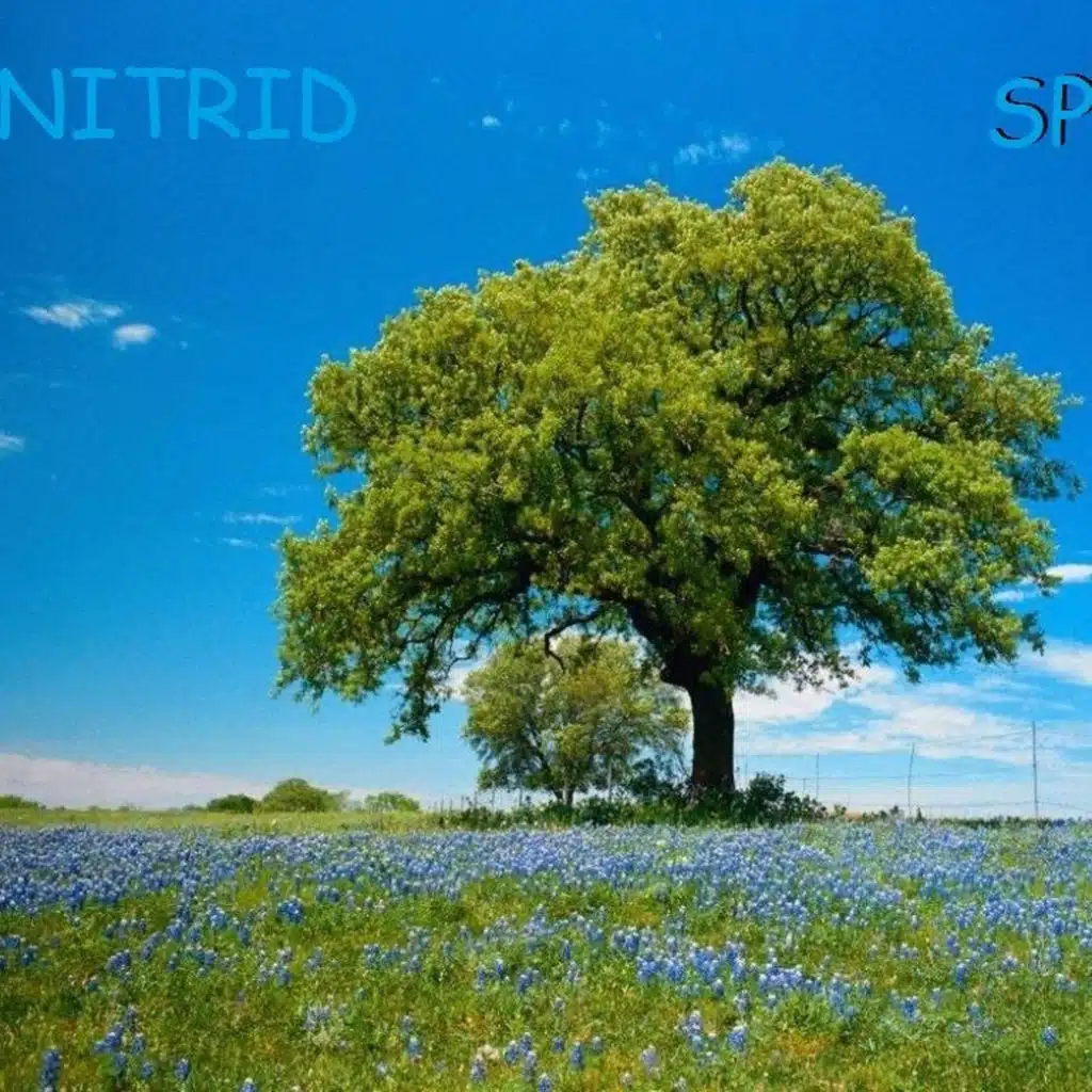 Come Hope Dance (Original Mix)