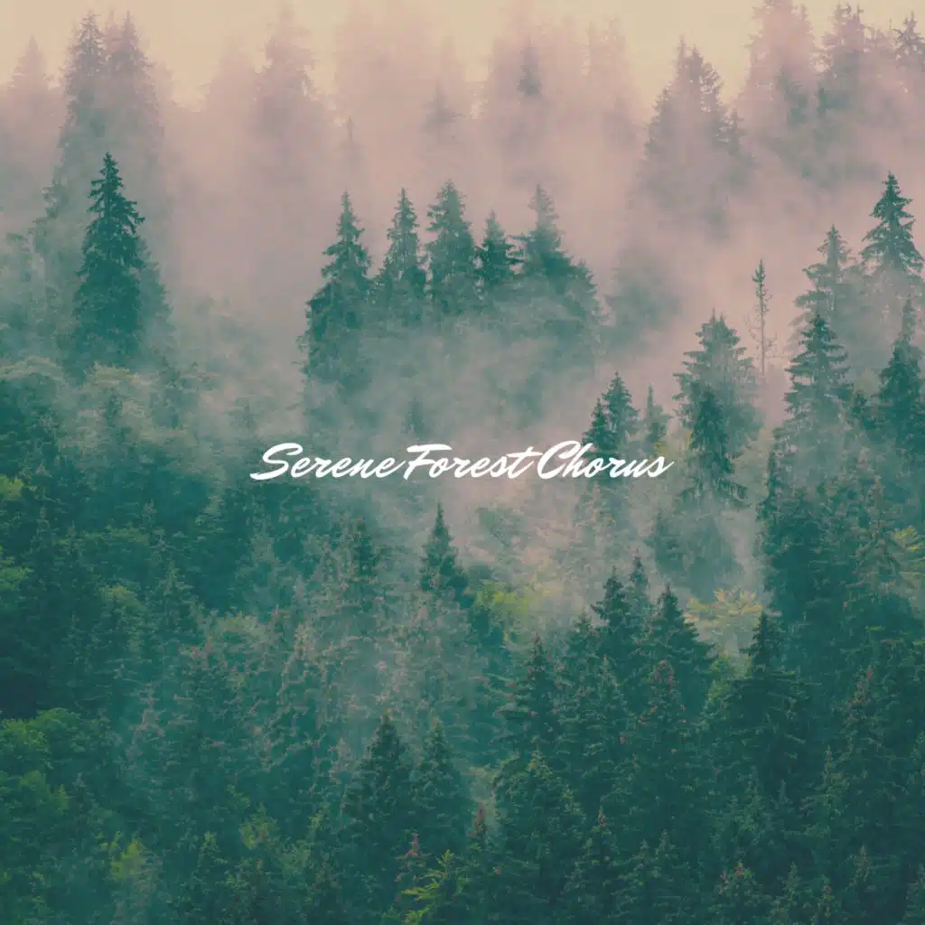 Ambient Nature Project