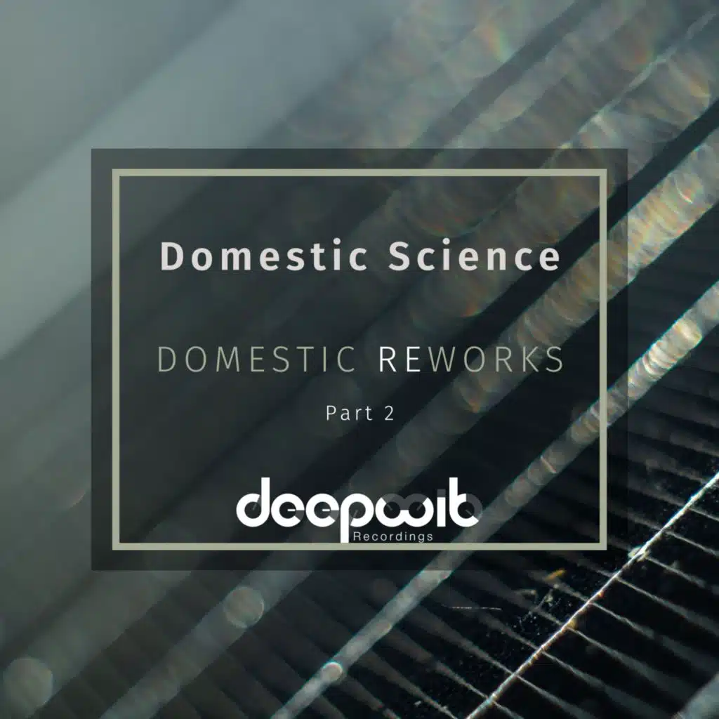 Manuel Costela & Domestic Science