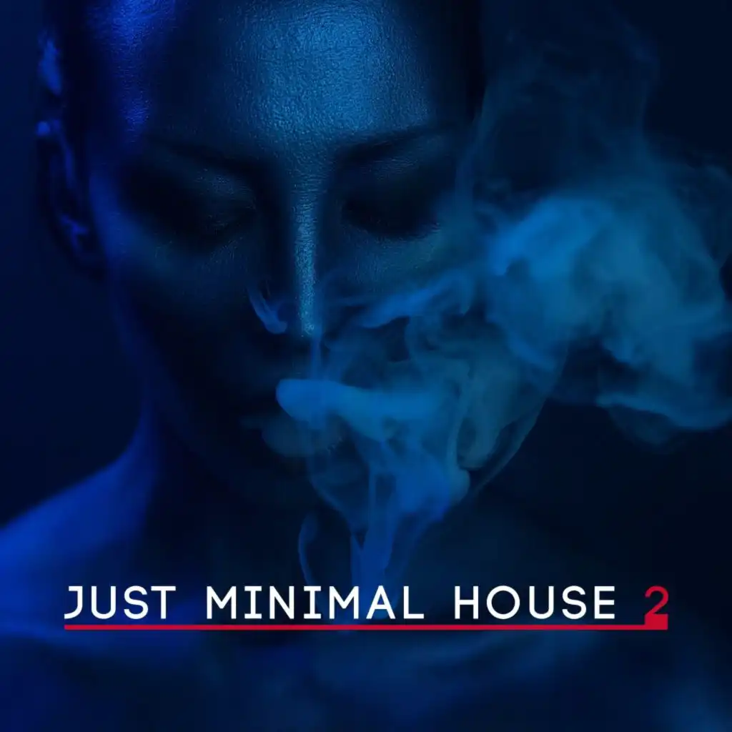 Just Minimal House, Vol. 2