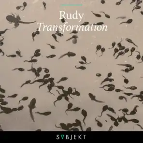 Transformation (Extended Mix)