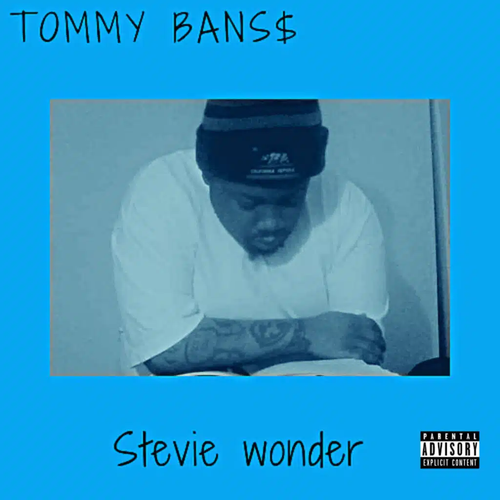 Stevie Wonder