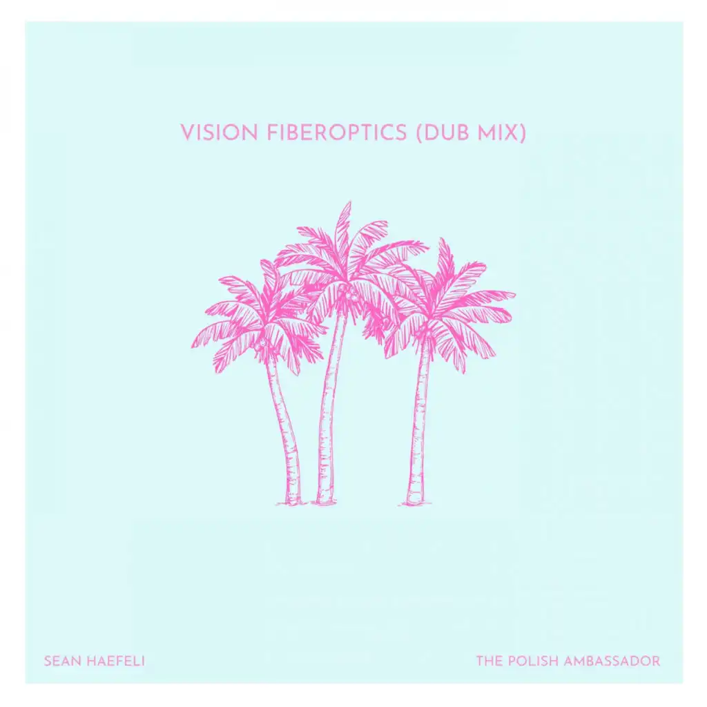 Vision Fiberoptics (Dub Mix)