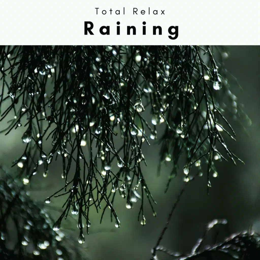 4 Relax: Raining Raining