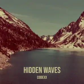 Hidden Waves
