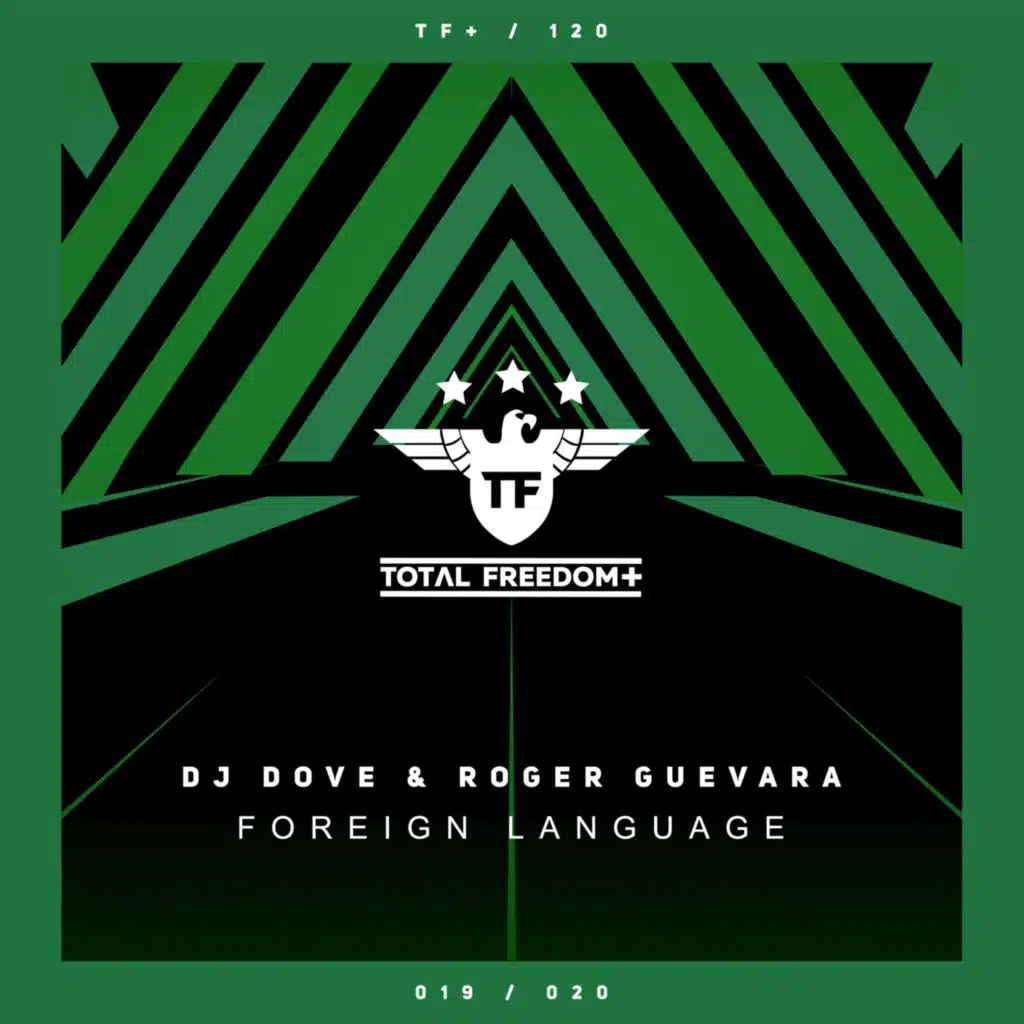 Foreign Language (Radio Edit)