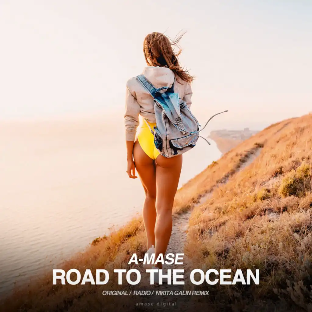 Road to the Ocean (Nikita Galin Remix)