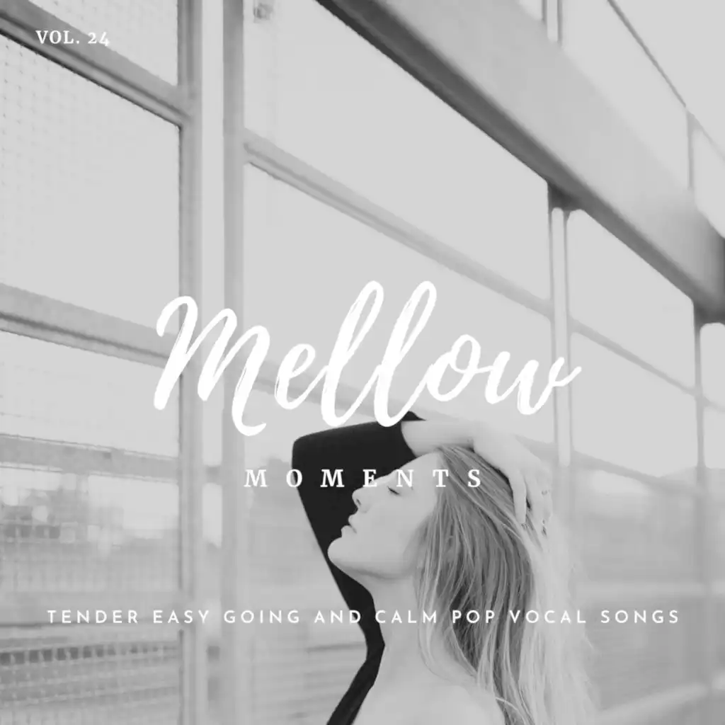 Mellow Moments - Tender Easy Going and Calm Pop Vocal Songs, Vol. 24