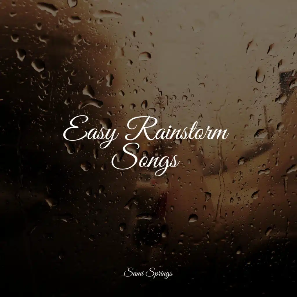 Forest, Morning, Birds