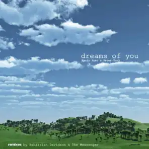 Dreams of You (Sebastian Davidson Remix)